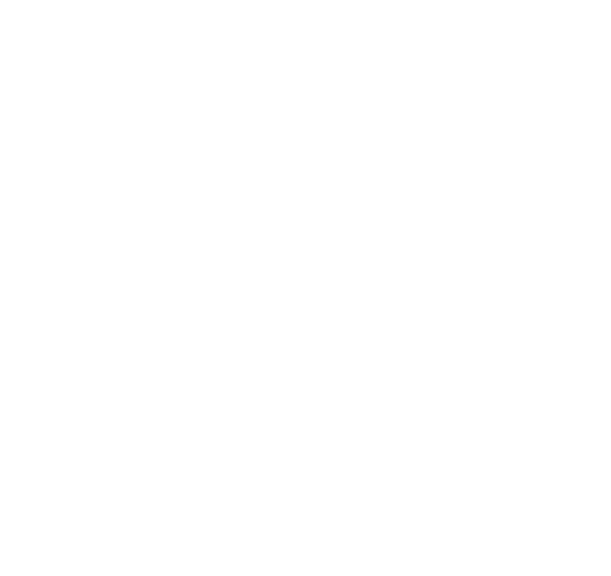 csintalan-marken-strategie-schmidt-personal-training-logo